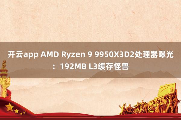 开云app AMD Ryzen 9 9950X3D2处理器曝光:192MB L3缓存怪兽