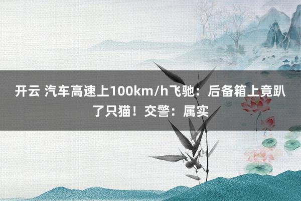 开云 汽车高速上100km/h飞驰：后备箱上竟趴了只猫！交警：属实