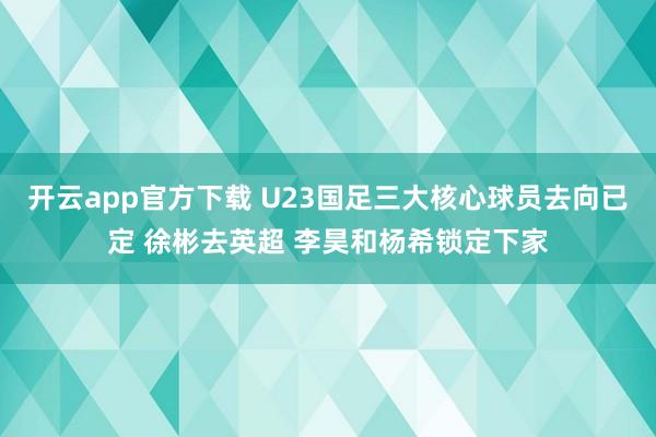 开云app官方下载 U23国足三大核心球员去向已定 徐彬去英超 李昊和杨希锁定下家
