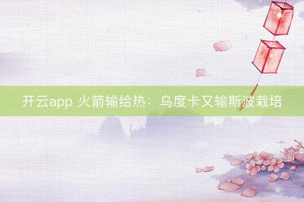 开云app 火箭输给热:乌度卡又输斯波栽培