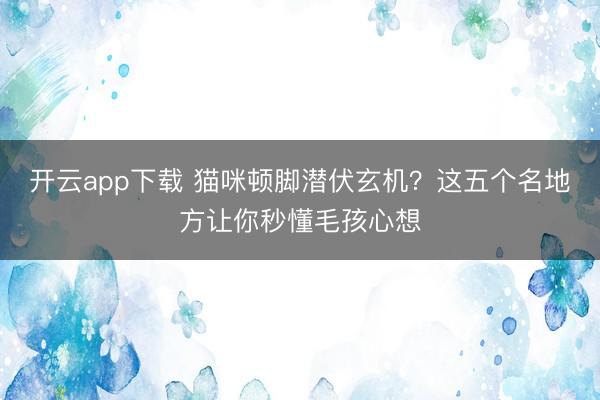 开云app下载 猫咪顿脚潜伏玄机？这五个名地方让你秒懂毛孩心想